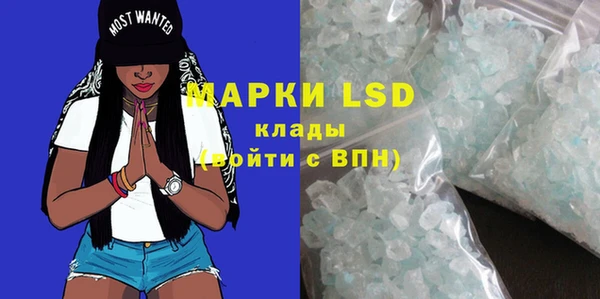 стаф Балахна